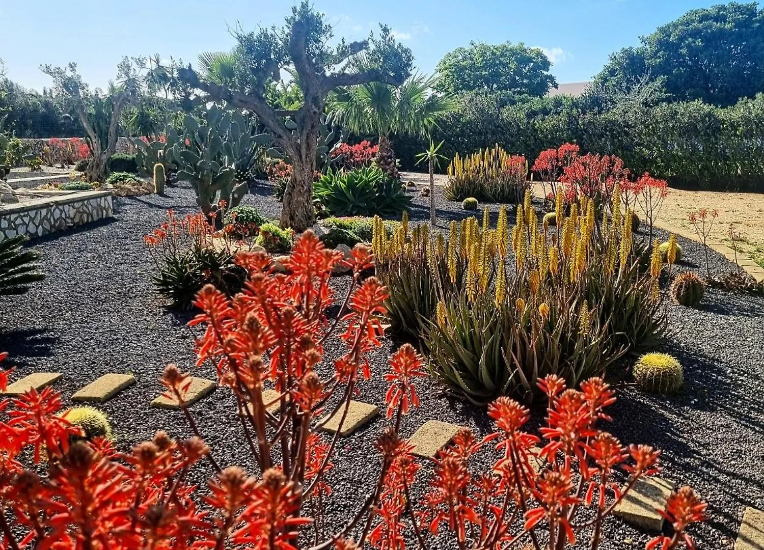 Villa Casa Armonia Favignana Italia